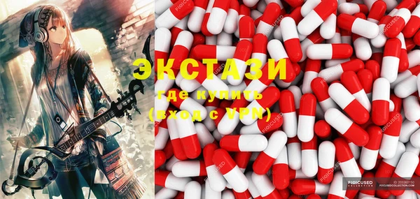 индика Калининец