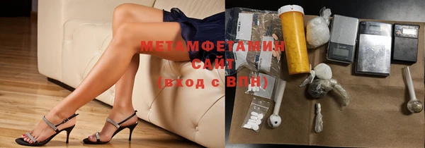 индика Калининец