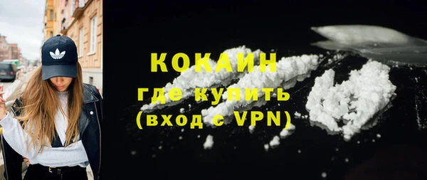 сатива Нестеровская