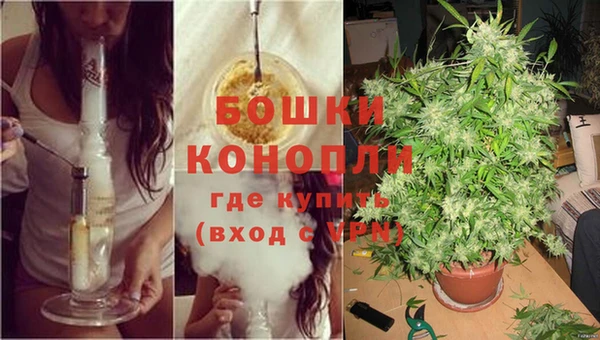 индика Калининец
