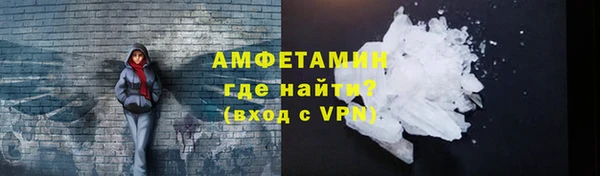 сатива Нестеровская