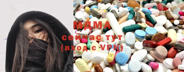 индика Калининец