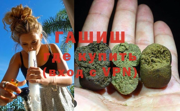 сатива Нестеровская