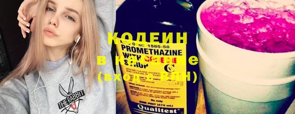 индика Калининец
