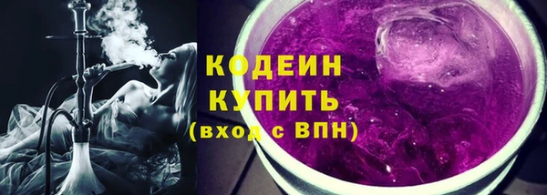 индика Калининец